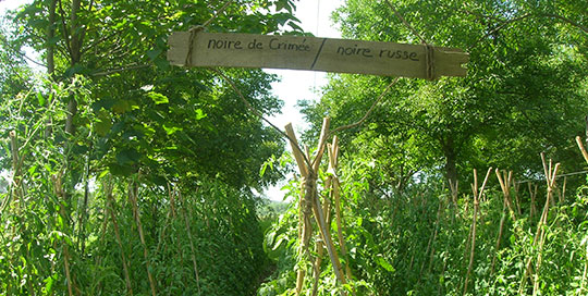 Initiative Roumassouze